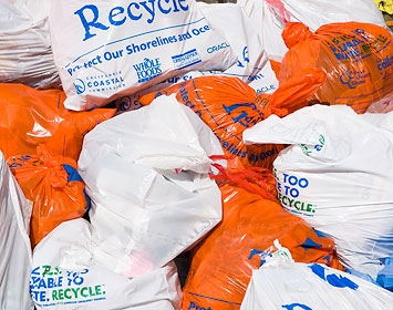 Bags of trash